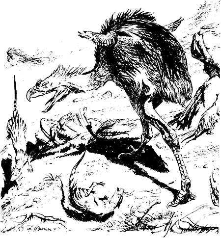 Из глубин древности - i_035.png