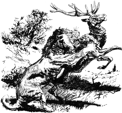 Из глубин древности - i_049.png