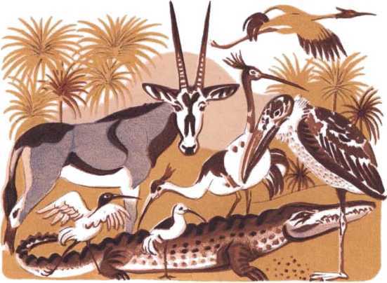 Глобусный человечек<br />(Сказочное путешествие) - i_005.jpg