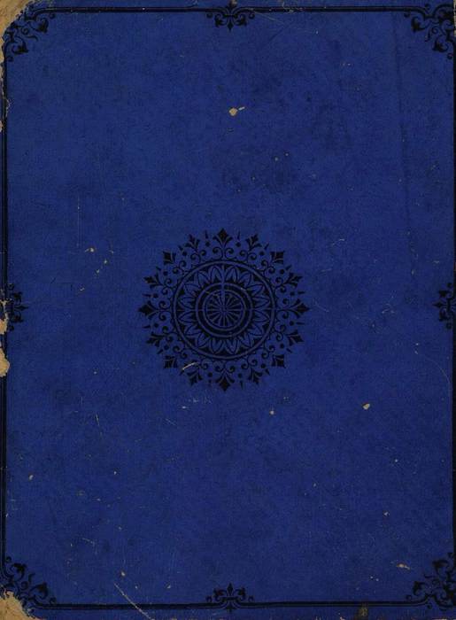 Волчок-доносчик<br />(Рассказ для детей) - i_035.jpg