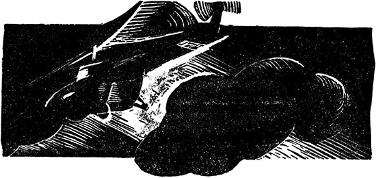 Золотые патроны<br />(Рассказы) - i_006.png