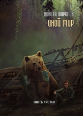 Иной мир. Часть третья - автор Шарипов Никита 