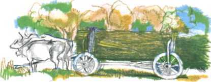 Болгарские народные сказки. Том 1 - i_016.jpg