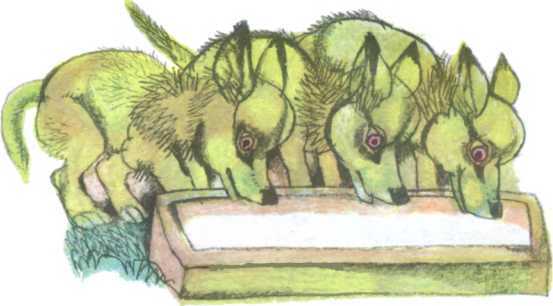 Болгарские народные сказки. Том 1 - i_104.jpg