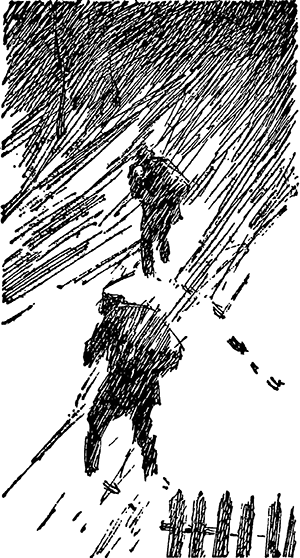 Конец фирмы Беняева<br />(Записки следователя) - i_006.png