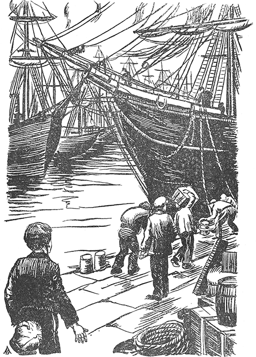 По дебрям и морям<br />(Жизнь и приключения Генри Стэнли и Джемса Кука) - i_002.png