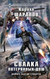 Свалка потерянных душ - автор Прозоров Александр Дмитриевич 