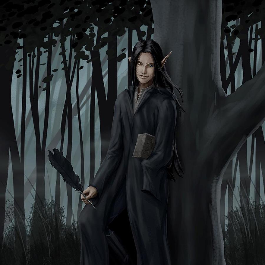 Идущий вопреки (СИ) - a3.jpg