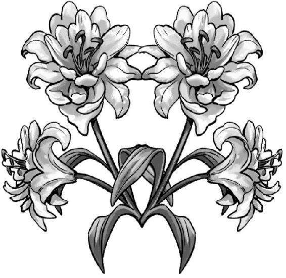 Открытое (ЛП) - img_117