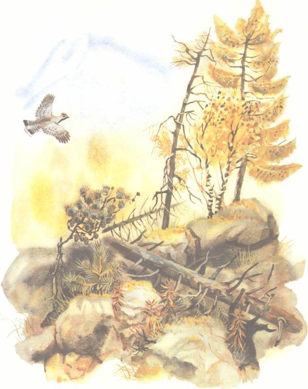 Зимовье на Студеной - i_012.jpg