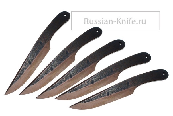 Под прикрытием (СИ) - img_40