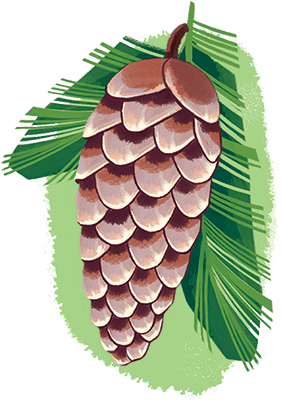 Главные правила безопасности. Энциклопедия для малышей в сказках - i_004.png