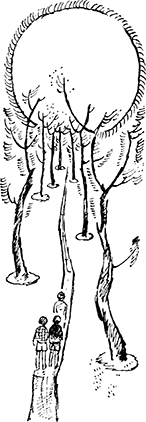 Далекие горнисты<br />(Повести и рассказы) - i_011.png