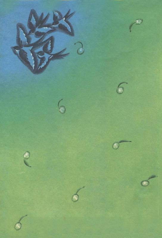 Не уходи, Аук!<br />(Лесные сказки) - i_001.jpg