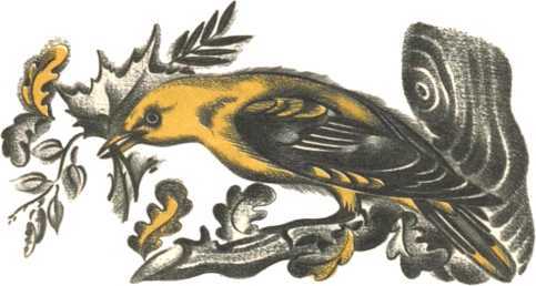 Не уходи, Аук!<br />(Лесные сказки) - i_007.jpg