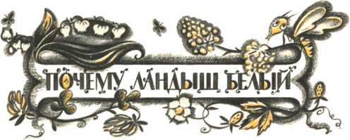 Не уходи, Аук!<br />(Лесные сказки) - i_037.jpg