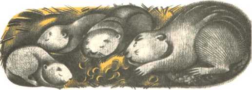 Не уходи, Аук!<br />(Лесные сказки) - i_045.jpg