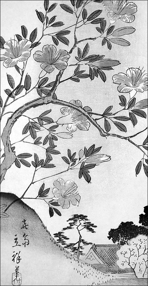 Только роза - i_006.jpg