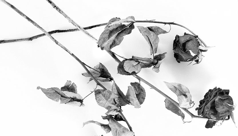 Убей в себе жертву - i_002.jpg