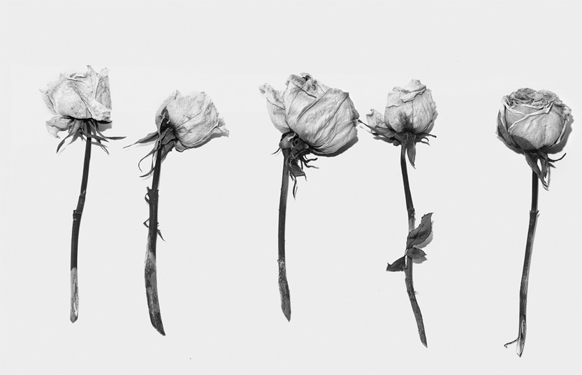 Убей в себе жертву - i_004.jpg