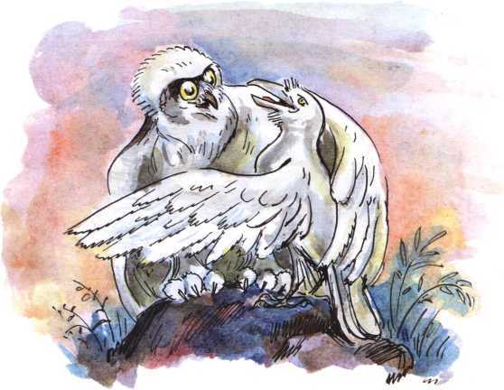 О честном вороне, коварной сове и глупом лисе<br />(Эскимосские сказки) - i_003.jpg