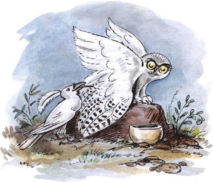 О честном вороне, коварной сове и глупом лисе<br />(Эскимосские сказки) - i_005.jpg