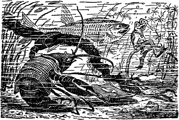 Сказки дедушки Матвея - i_011.png