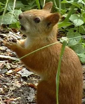 Попаданец в себя, 1960 год (СИ) - i_005.jpg