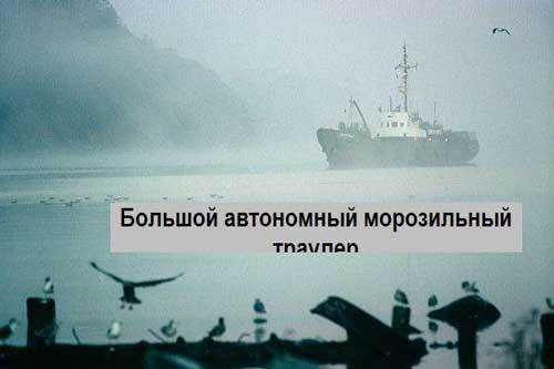 Попаданец в себя, 1963 год (СИ) - i_024.jpg