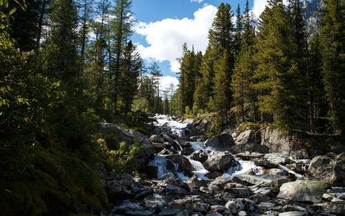 Попаданец в себя, 1970 год (СИ) - i_062.jpg