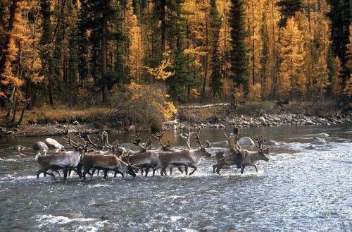 Попаданец в себя, 1970 год (СИ) - i_064.jpg