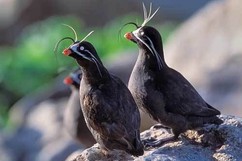 Неожиданная Россия (СИ) - i_198.jpg