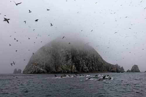 Неожиданная Россия (СИ) - i_201.jpg