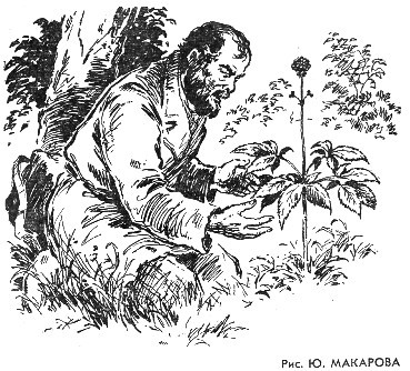 Антология советского детектива-37. Компиляция. Книги 1-15 (СИ) - i_003.jpg