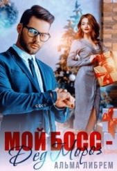 Мой босс - Дед Мороз (СИ) - автор Либрем Альма 
