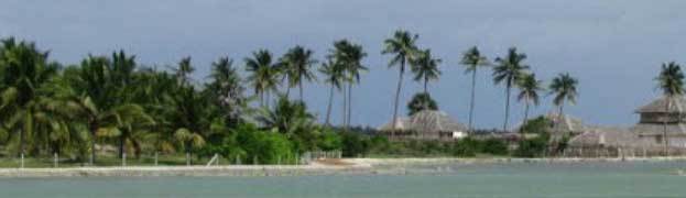 Античная наркомафия - 9 (СИ) - i_064.jpg