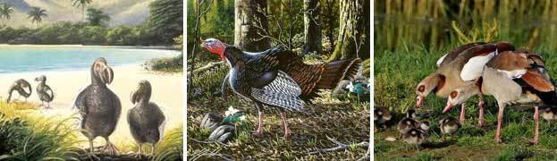 Античная наркомафия - 9 (СИ) - i_172.jpg