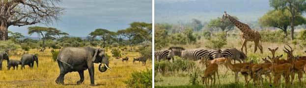 Античная наркомафия - 9 (СИ) - i_181.jpg