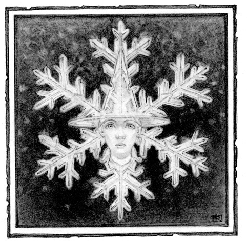 Господин Зима - i_010.jpg