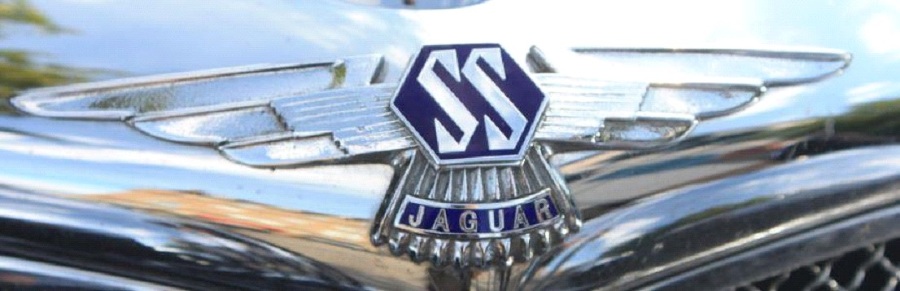 Путеводная звезда. Том 1 (СИ) - img32.jpg