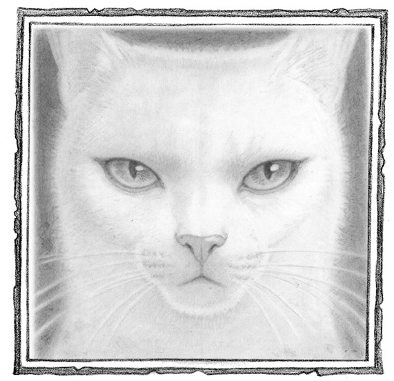 Пастушья корона - i_009.jpg