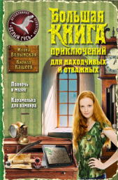 Большая книга приключений для находчивых и отважных (сборник) - автор Волынская Илона 