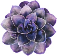 Плохая привычка (ЛП) - img_5