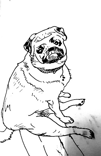 Девочка из другого мира (СИ) - _3.jpg