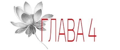 Отголосок (ЛП) - img_10