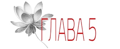 Отголосок (ЛП) - img_11