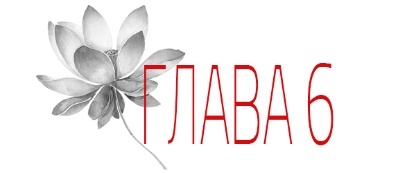 Отголосок (ЛП) - img_12