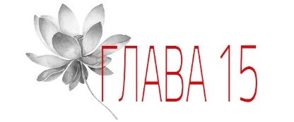 Отголосок (ЛП) - img_24