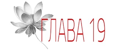 Отголосок (ЛП) - img_28