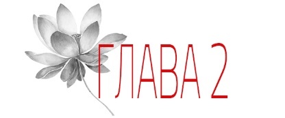 Отголосок (ЛП) - img_8